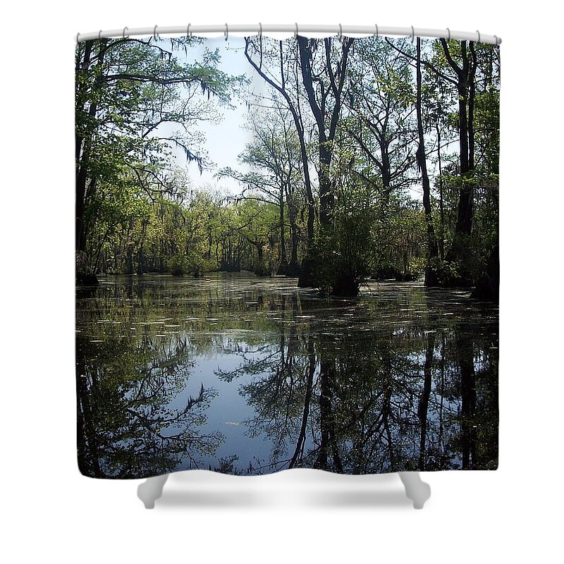 Merchants Millpond Shower Curtain featuring the photograph Flying through the Mirror by Sandra Clark