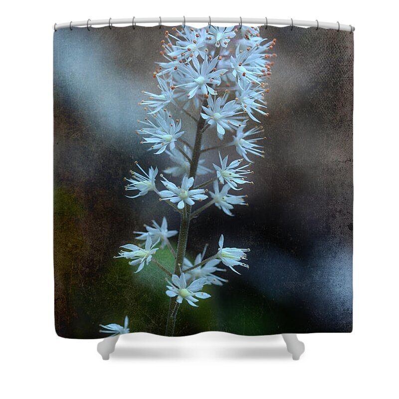 Foam Flower Shower Curtain featuring the photograph Foam Flower by Michael Eingle
