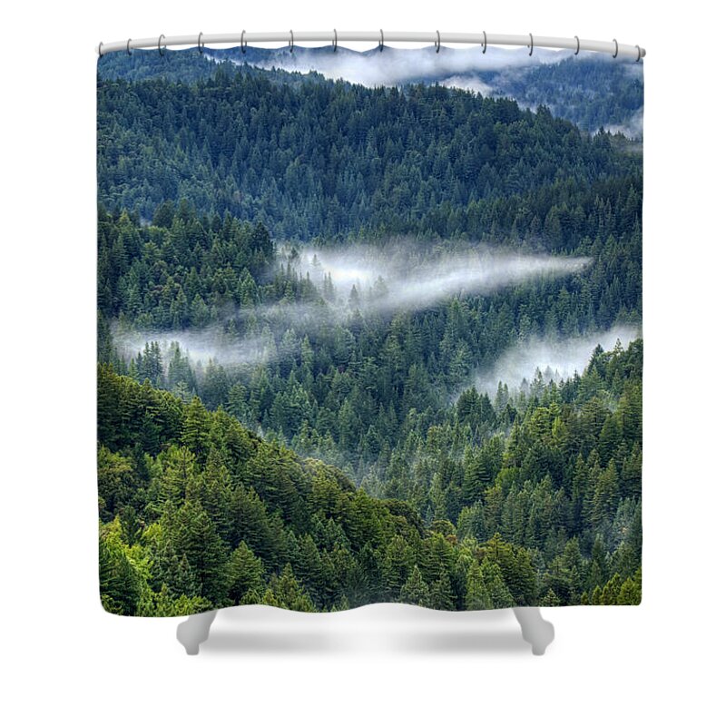 Santa Cruz Mountains Shower Curtain featuring the photograph Fog in the Santa Cruz Mountains by Lisa Chorny