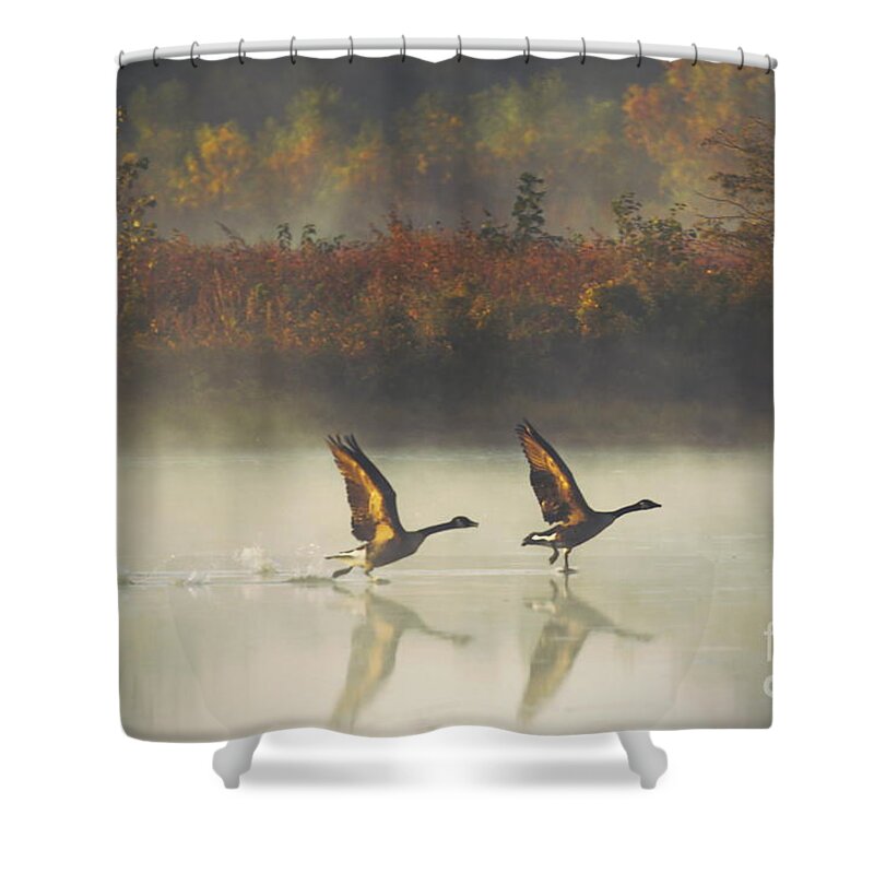 Canada Geese Shower Curtain featuring the photograph Foggy Autumn Morning by Elizabeth Winter
