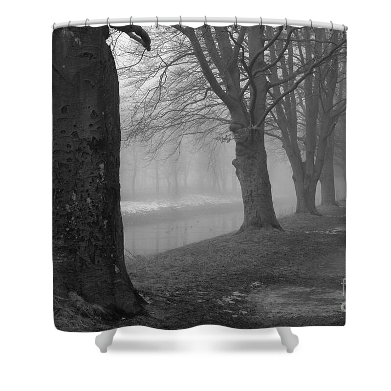 Fog Shower Curtain featuring the photograph Foggy Day by Randi Grace Nilsberg