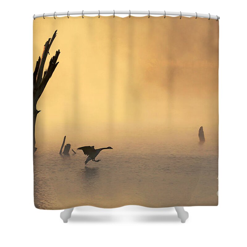 Fog Shower Curtain featuring the photograph Foggy Landing by Elizabeth Winter