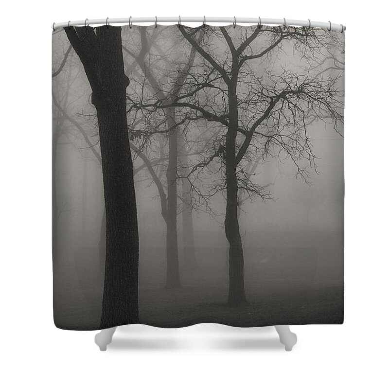 Fog Shower Curtain featuring the photograph Foggy Trees by Lauri Novak