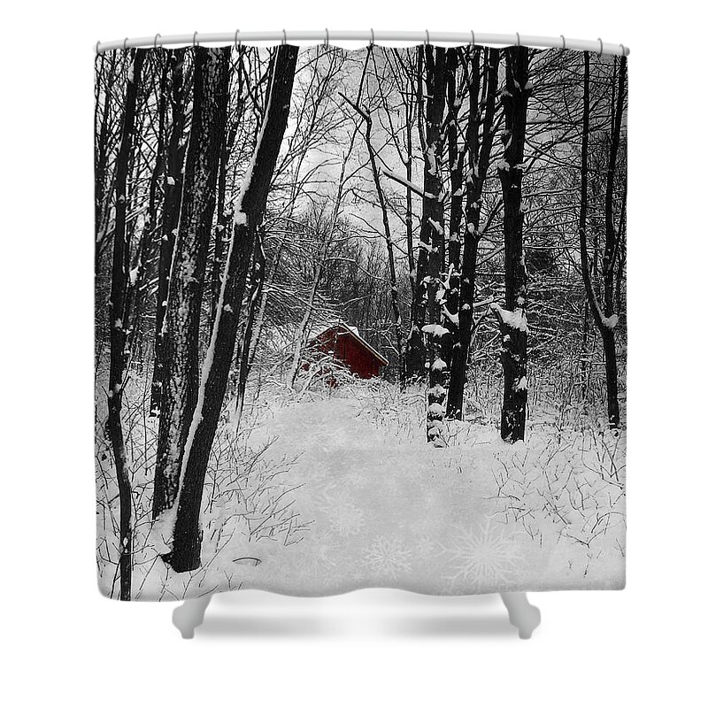 Snowflakes Shower Curtain featuring the photograph Follow The Snowflake Trail by Kathi Mirto