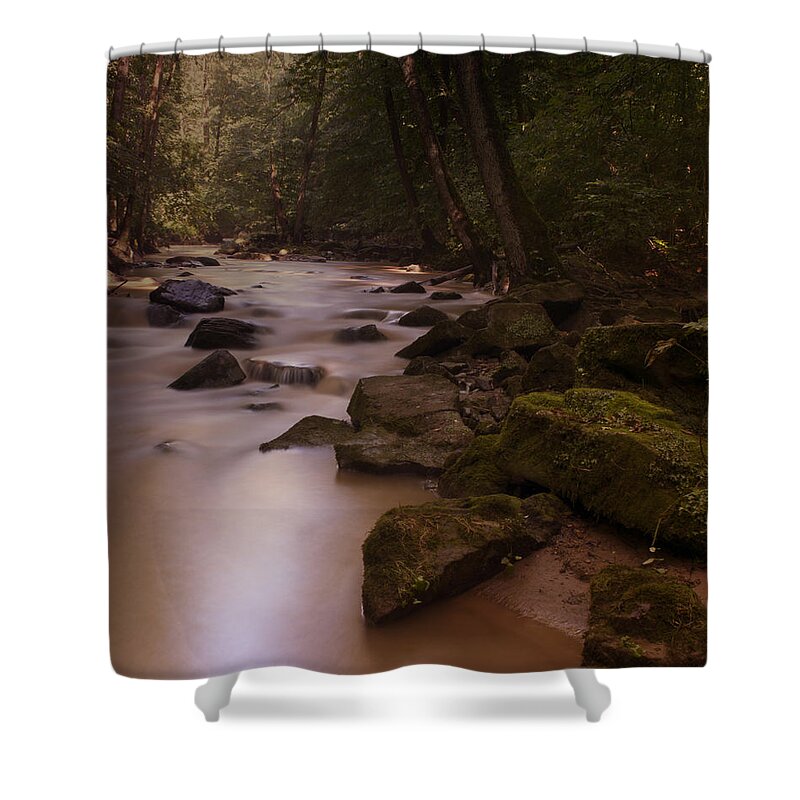 Forest Shower Curtain featuring the photograph Forest Creek by Miguel Winterpacht