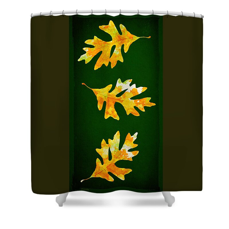 Fall Leaves Shower Curtain featuring the mixed media Forest Leaves Painting by Christina Rollo