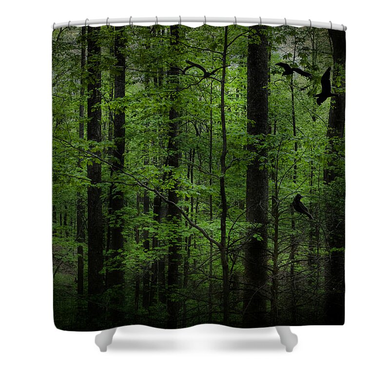 Evie Shower Curtain featuring the photograph Forest in Cades Cove by Evie Carrier