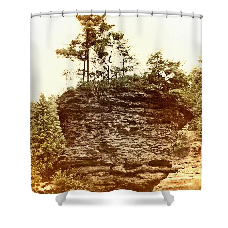 Scenic Tours Shower Curtain featuring the photograph Forest On A Rock by Skip Willits