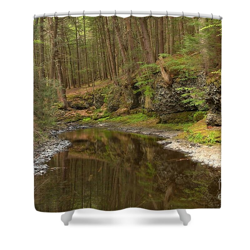 Woods Shower Curtain featuring the photograph Forest Refletions In Raymondskill by Adam Jewell