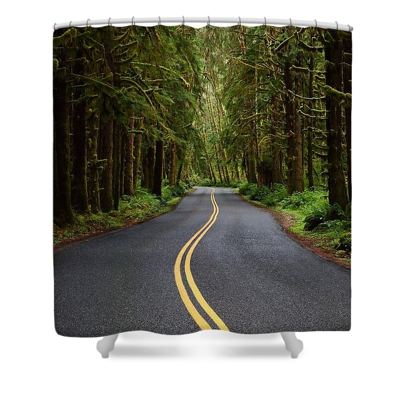 Green Shower Curtain featuring the photograph Forest Road by David Andersen