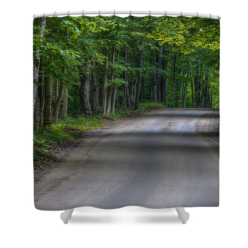 Pure Michigan Shower Curtain featuring the photograph Forest Road by Sebastian Musial