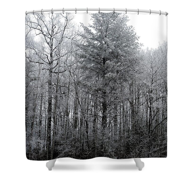 Landscape Shower Curtain featuring the photograph Forest With Freezing Fog by Daniel Reed