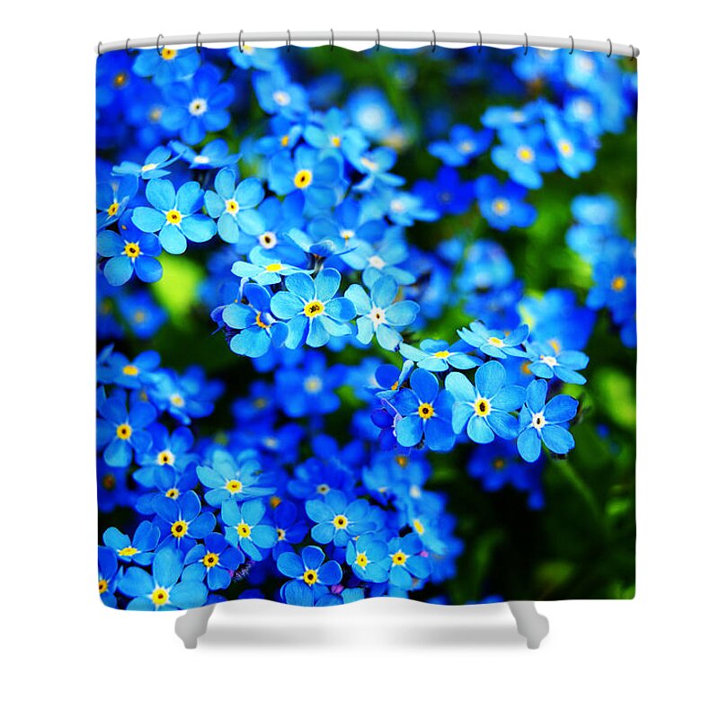 Forget-me-not Shower Curtain featuring the photograph Forget-Me-Not by Anita Braconnier