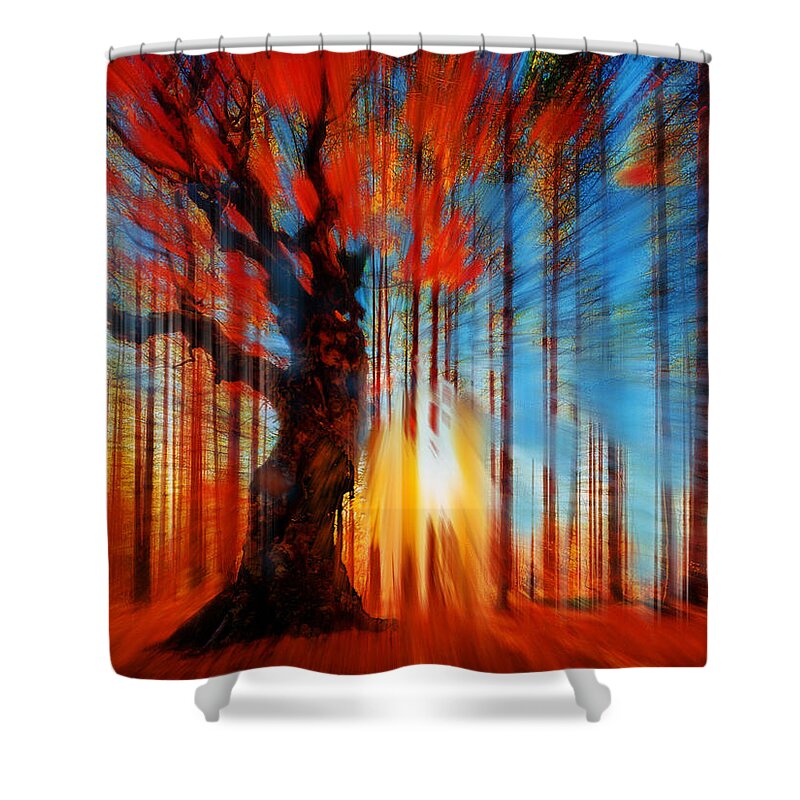 Color Shower Curtain featuring the painting Forrest And Light by Tony Rubino