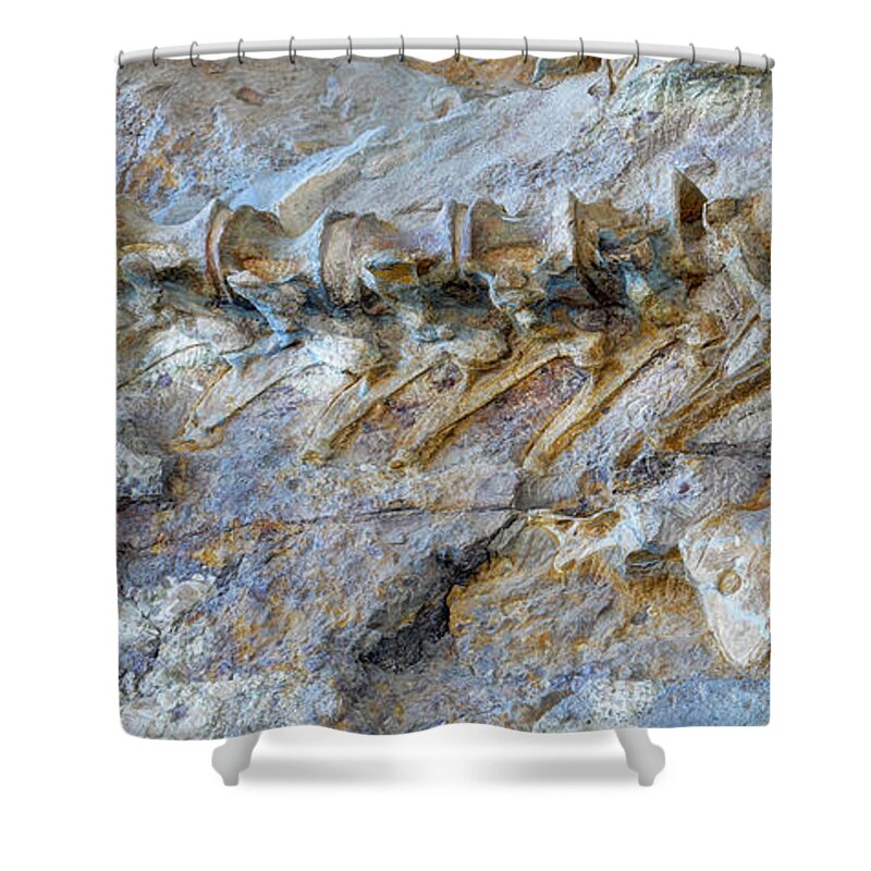 Fossil Shower Curtain featuring the photograph Fossilized Dinosaur Backbone - Dinosaur National National Monument by Gary Whitton