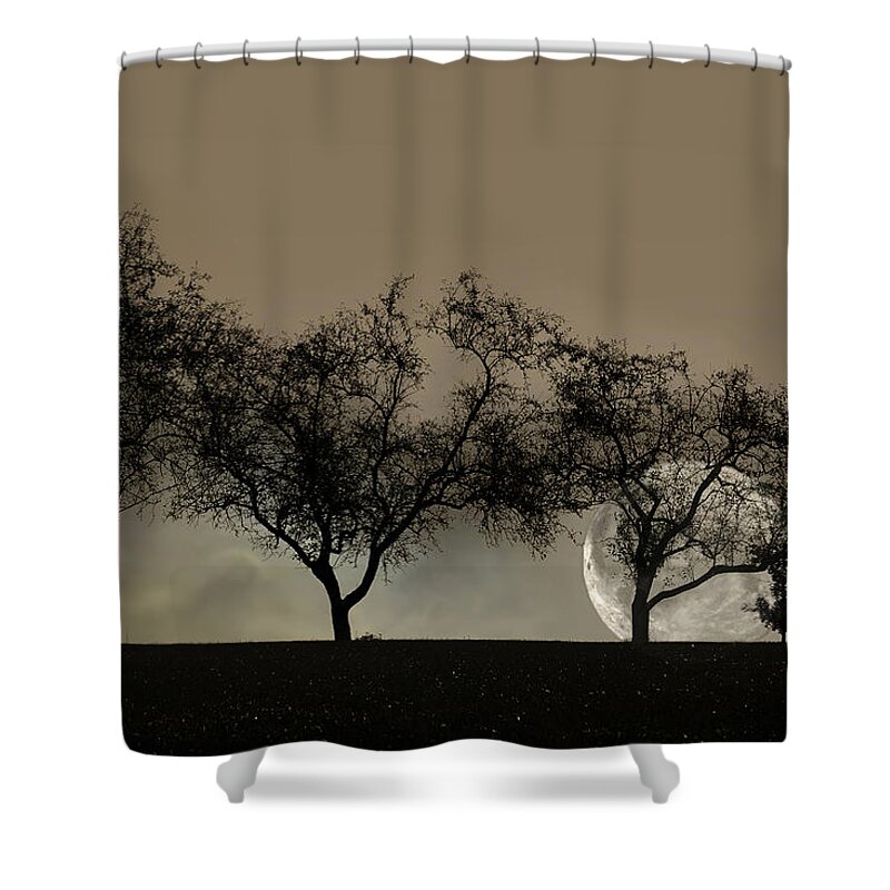 Trees Shower Curtain featuring the photograph Four Trees and a Moon by Ann Bridges