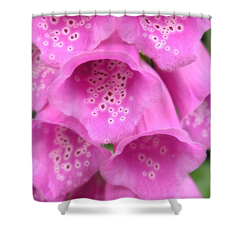 Woodland Plant Shower Curtain featuring the photograph Fox Glove by Ron Harpham