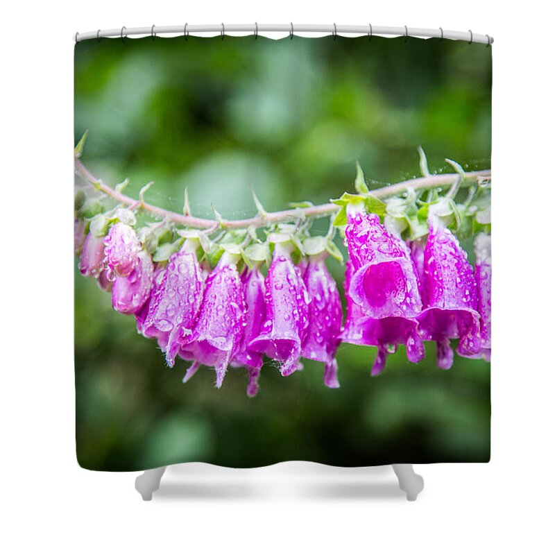 Alternative Therapy Shower Curtain featuring the photograph Foxglove Flower by Philippe Garo