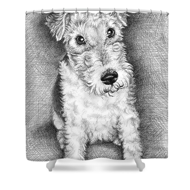 Dog Shower Curtain featuring the drawing Foxterrier by Nicole Zeug