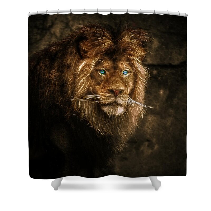 Fractallion Shower Curtain featuring the photograph FractalLion by Wes and Dotty Weber