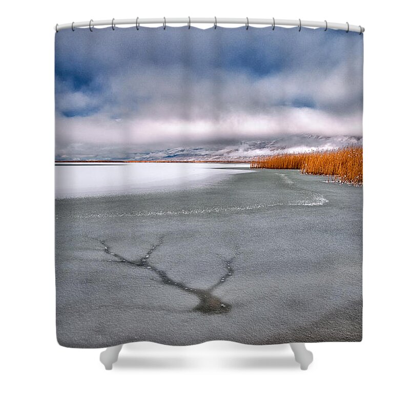 Freeze Fracture Shower Curtains