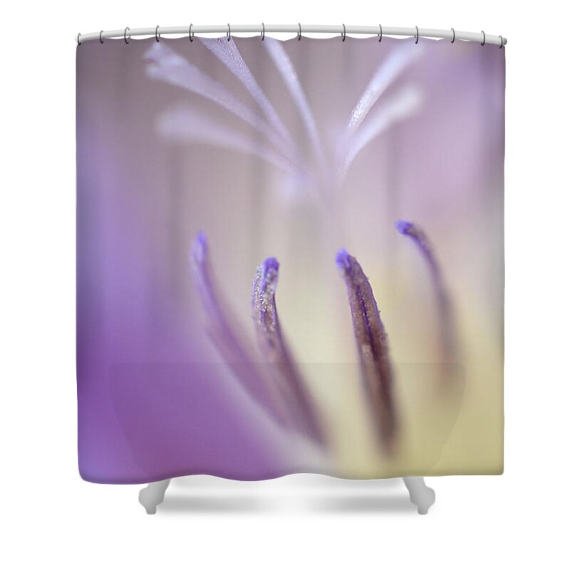 Freesia Shower Curtain featuring the photograph Fragrant Freesia by Deb Halloran