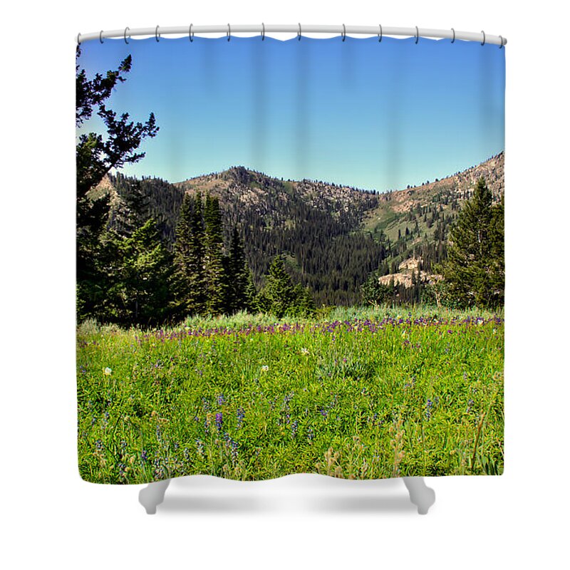 Southwest Idaho Shower Curtain featuring the photograph Framed Mountain Landscape by Robert Bales