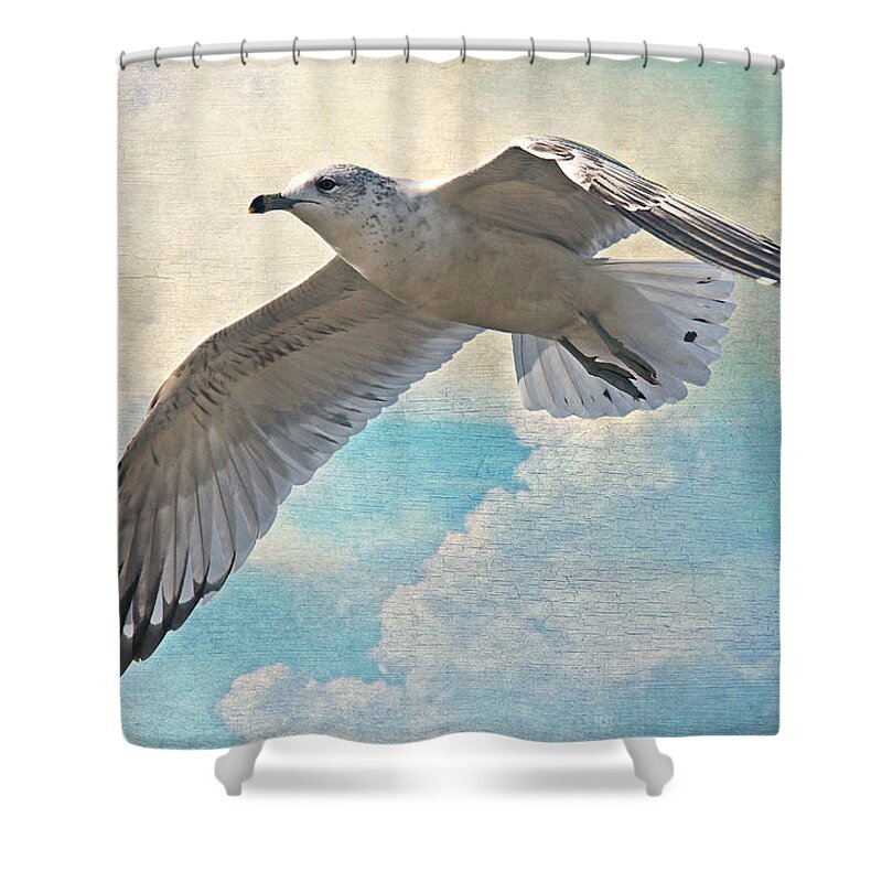 Seagull Shower Curtain featuring the photograph Free As A Bird by HH Photography of Florida
