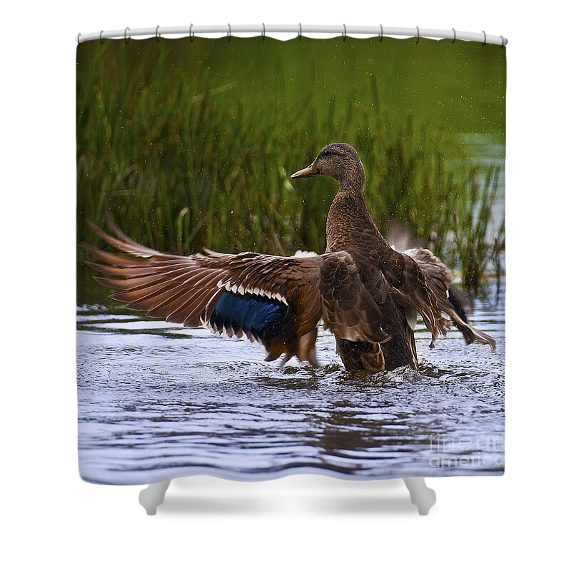 Canada Shower Curtain featuring the photograph Free Beauty.. by Nina Stavlund