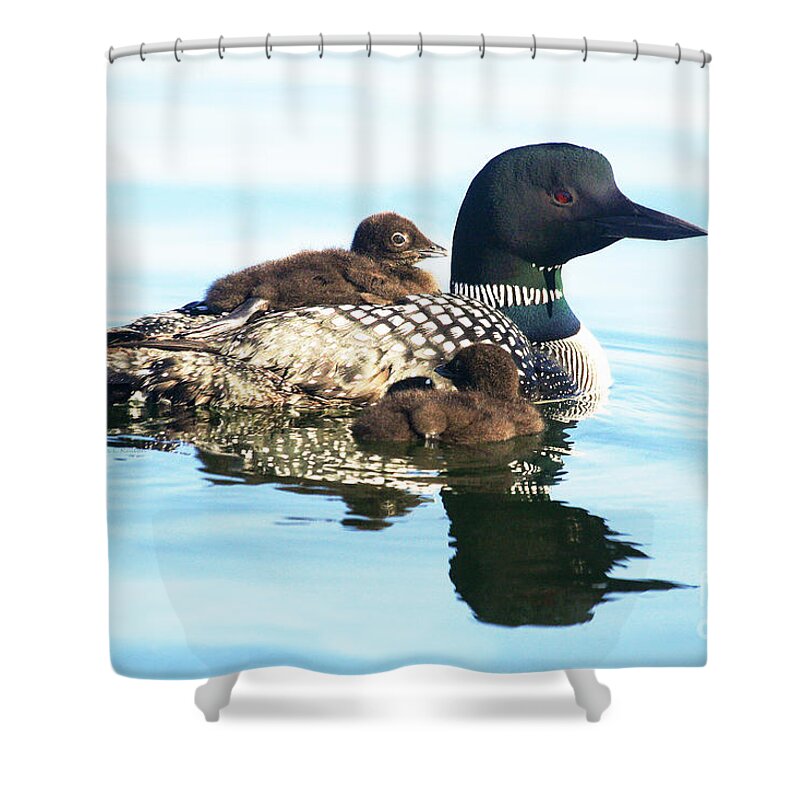 Loon Shower Curtain featuring the photograph Free Ride by Jan Killian
