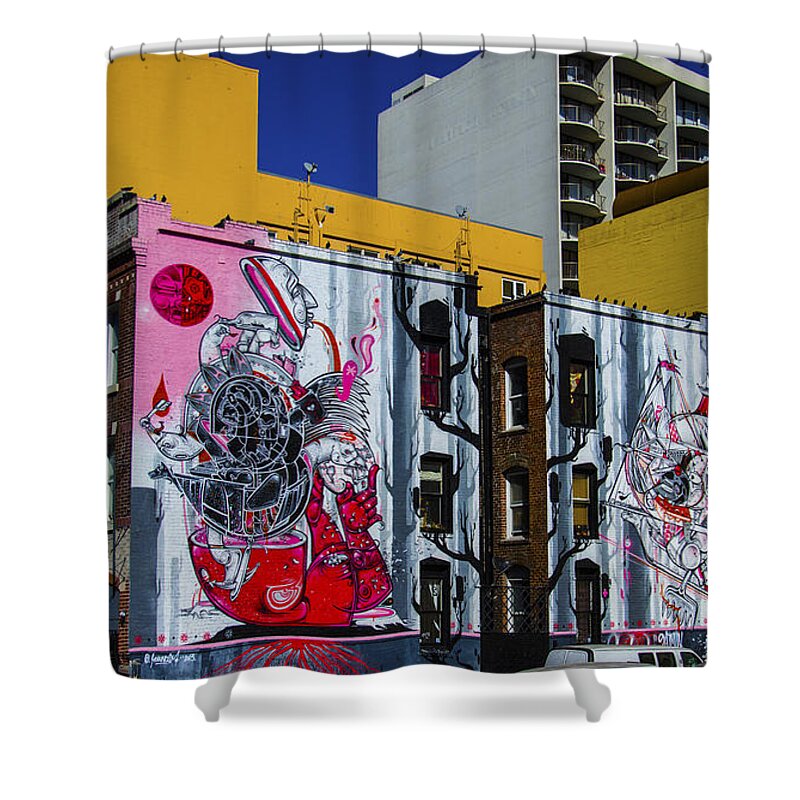 San Francisco Shower Curtain featuring the photograph Frescos by Pravine Chester