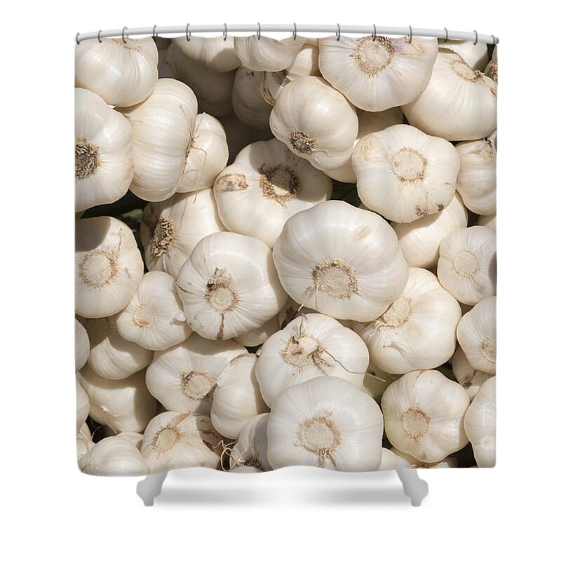 Garlic Shower Curtain featuring the photograph Fresh Garlic by Michael Dawson