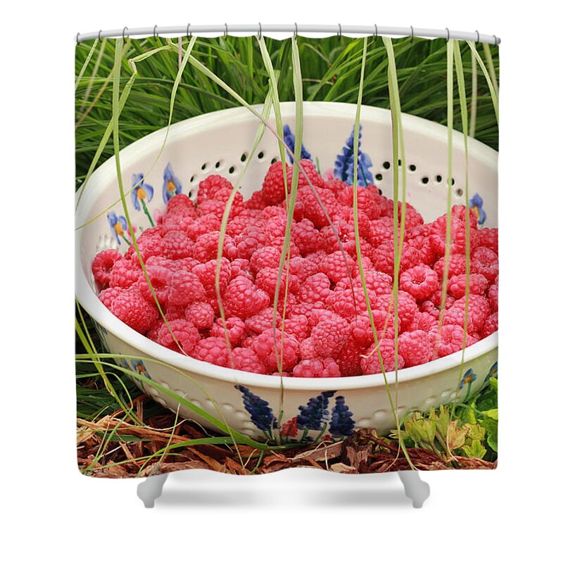 Red Shower Curtain featuring the photograph Fresh-Picked Raspberries by E Faithe Lester