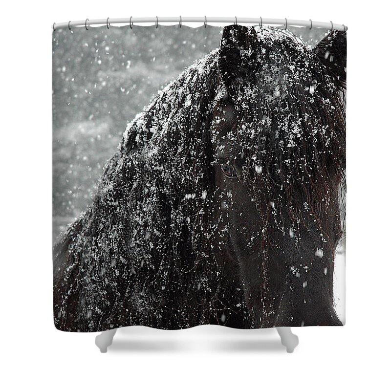 Horses Shower Curtain featuring the photograph Friesian Snow by Fran J Scott