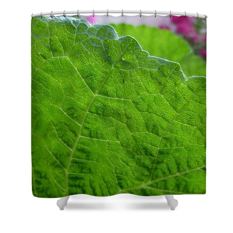 Leaf Shower Curtain featuring the photograph Fringe by Claudia Goodell