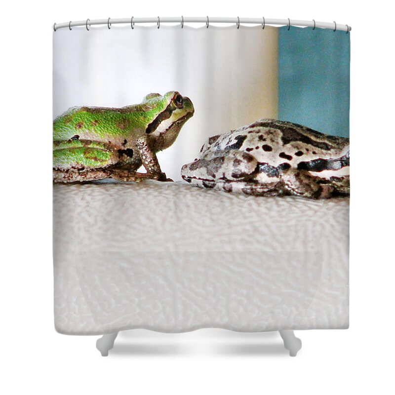 Frog Shower Curtain featuring the photograph Frog Flatulence - A Case Study by Rory Siegel
