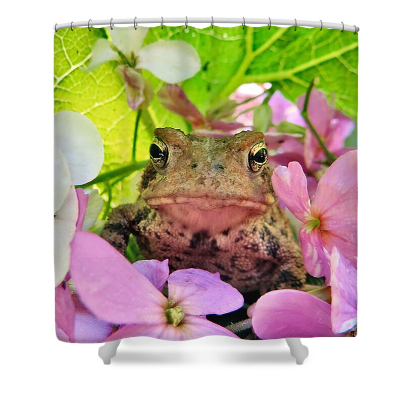 Nature Shower Curtain featuring the photograph Frog In Love by Art Dingo