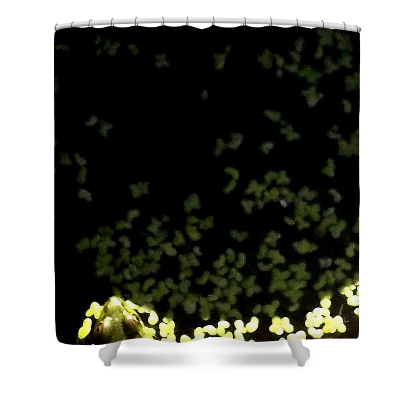 Frog Shower Curtain featuring the photograph Froggy by Melissa McCrann