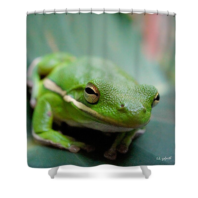 Frog Shower Curtain featuring the photograph Froggy Smile Squared by TK Goforth