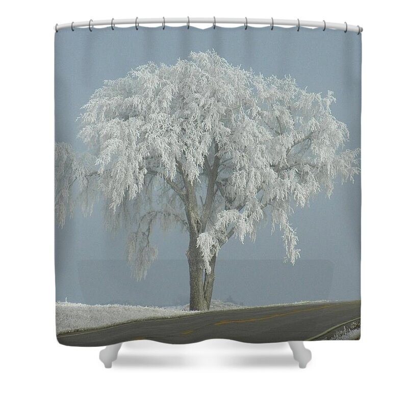 Landscape Shower Curtain featuring the photograph Frost Covered Lone Tree by Penny Meyers