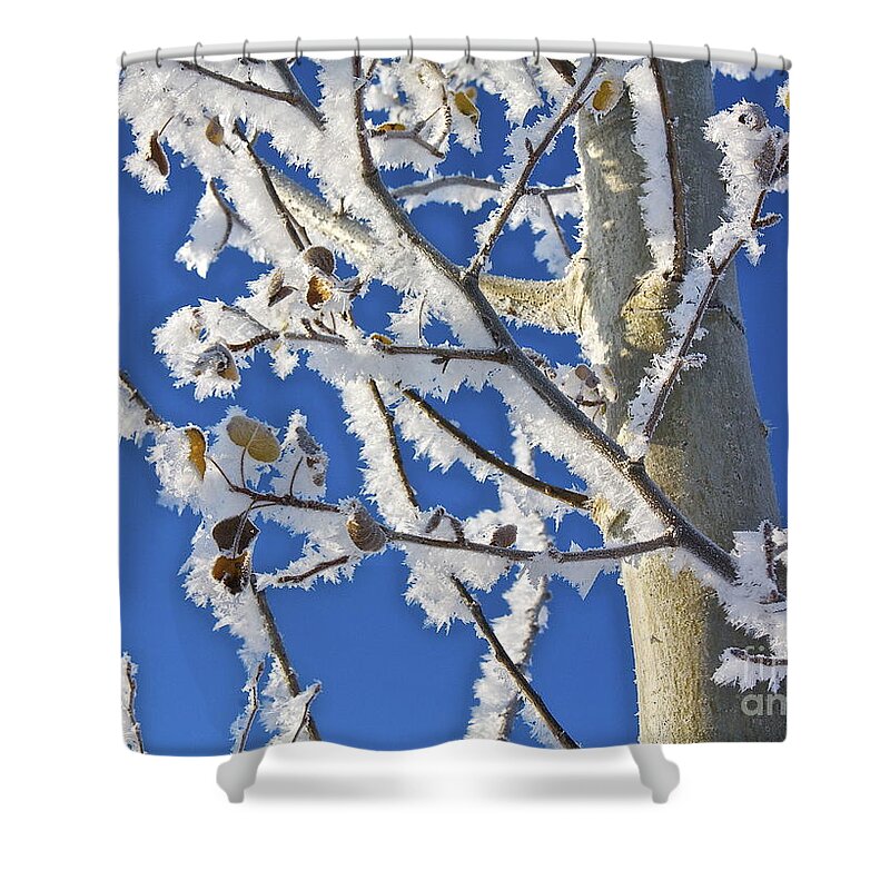 Frost Shower Curtain featuring the photograph Frosted Tree by Linda Bianic