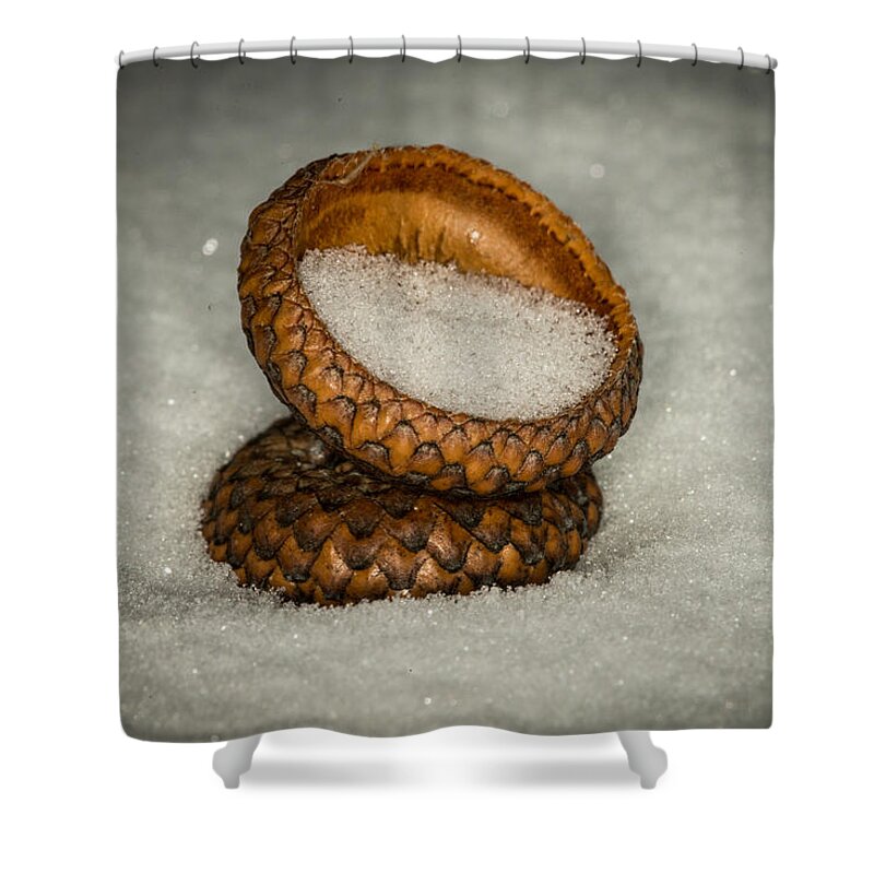 Nature Photograph Shower Curtain featuring the photograph Frozen Acorn Cupule by Paul Freidlund