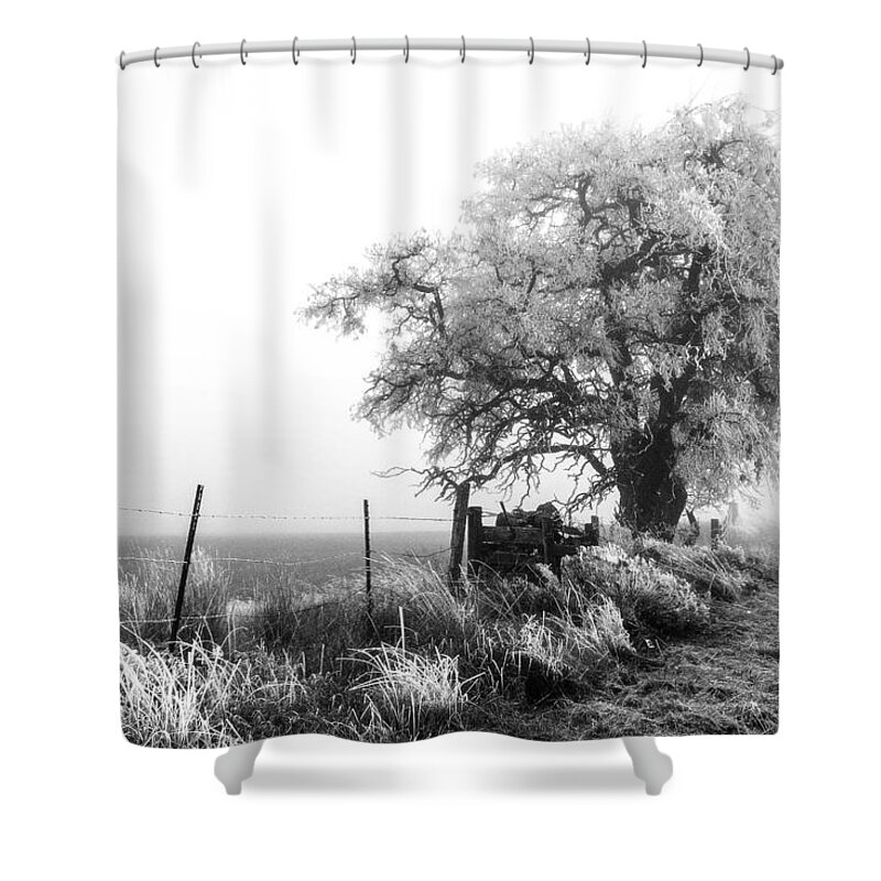 Frozen By Fog Shower Curtain featuring the photograph Frozen By Fog by Wes and Dotty Weber
