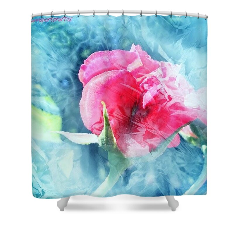 Pink Shower Curtain featuring the photograph Frozen In Time by Anna Porter