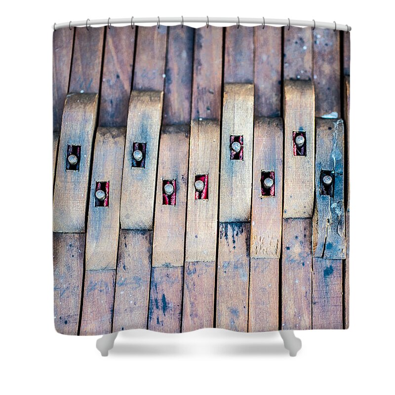 Piano Shower Curtain featuring the photograph Fulcrum 2 by David Downs