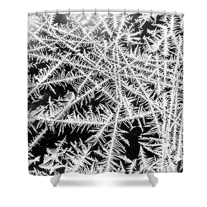 Frost Shower Curtain featuring the photograph Funky Frost by Cheryl Baxter