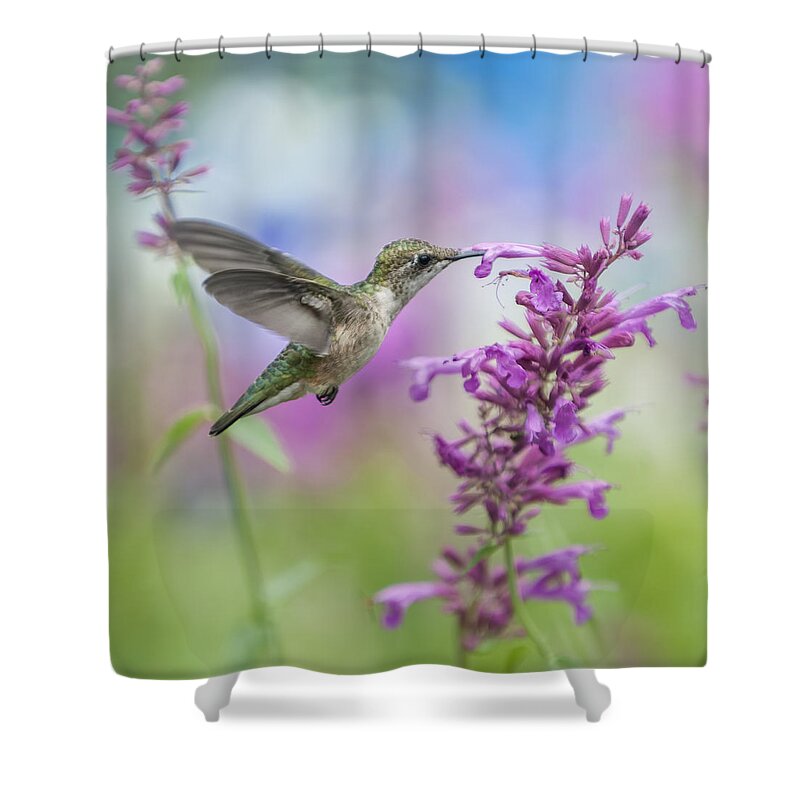 Hummingbird Shower Curtain featuring the photograph Garden Friend by Jean-Pierre Ducondi