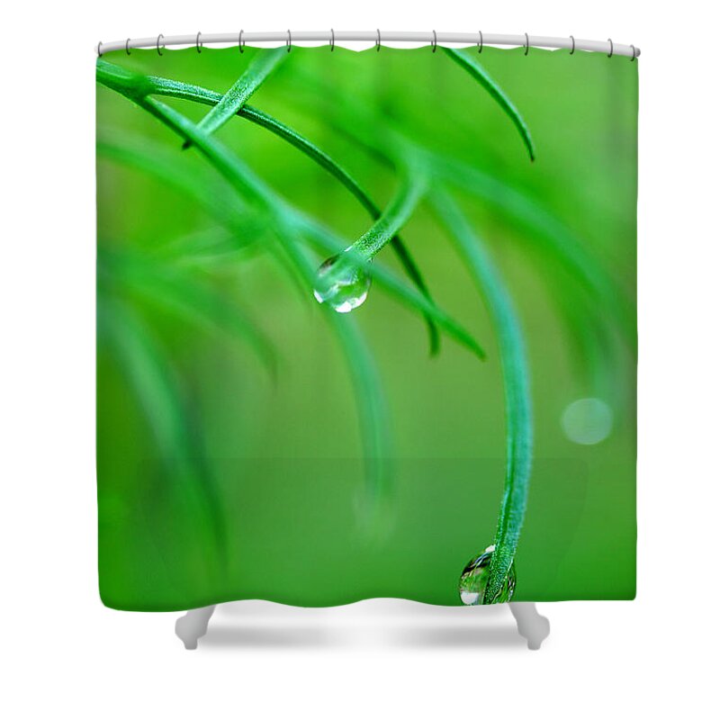 Dew Drops Shower Curtain featuring the photograph Garden Gifts by Michael Eingle
