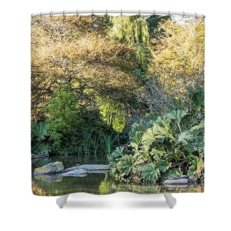 Botanical Garden Shower Curtain featuring the photograph Garden Pond by Kate Brown