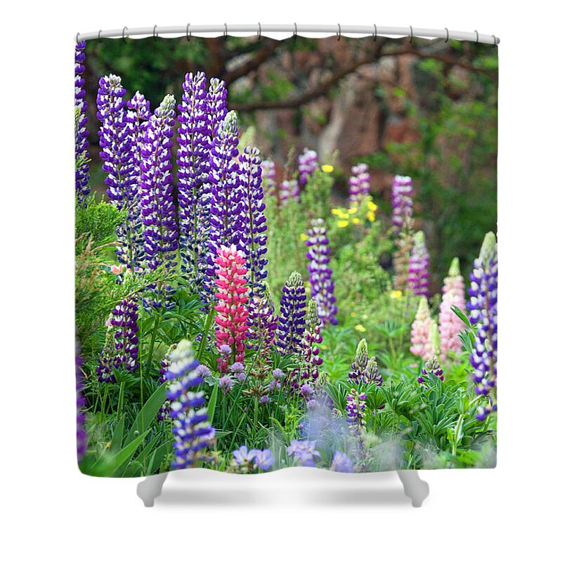 Flowers Photograph; Lupine Canvas Print Shower Curtain featuring the photograph Garden Walk by Jim Garrison